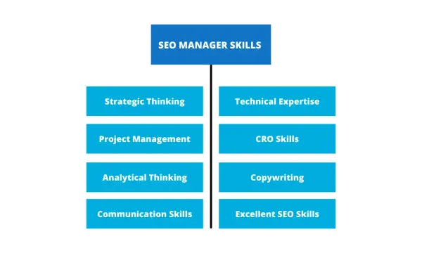 Content SEO manager do czego służy - kluczowe zadania i umiejętności