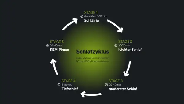 Der Schlafzyklus mit seinen Phasen (Schläfrig, leichter, moderater, Tiefschlaf, REM) erklärt die Bedeutung von gutem Schlaf. Ein Zyklus dauert 60-120 Min.