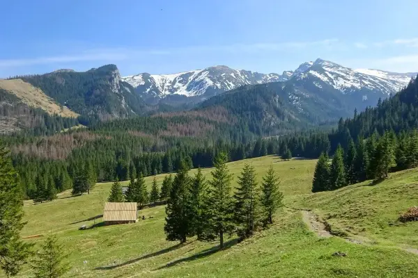 Zielone hale i lasy w Tatrach, z widocznymi szczytami pokrytymi śniegiem. Na hali stoi drewniana bacówka, przypominająca dawne kuźnice.