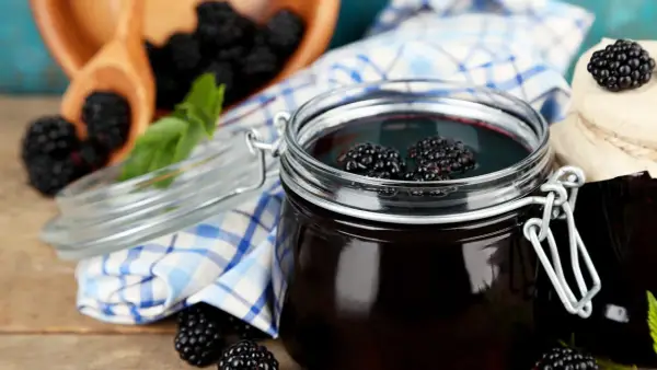 Ein Glas mit dunklem Brombeergelee, garniert mit frischen Brombeeren. Daneben ein Holzschälchen mit weiteren Brombeeren und ein kariertes Tuch. Verschiedene Brombeergelee Varianten zum Genießen.