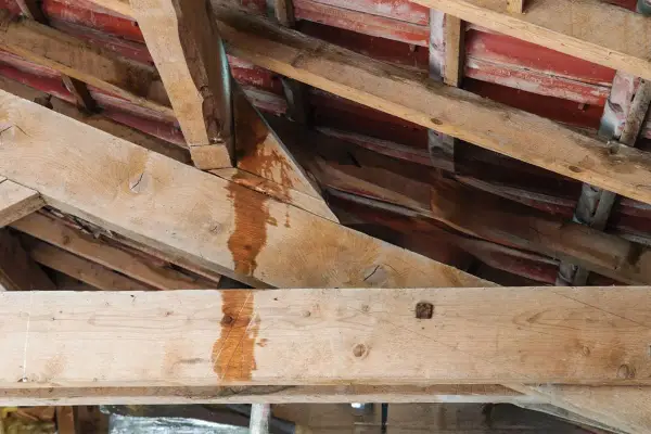 Traces d'humidité sur les poutres de charpente, indiquant une fuite à réparer sur la toiture.