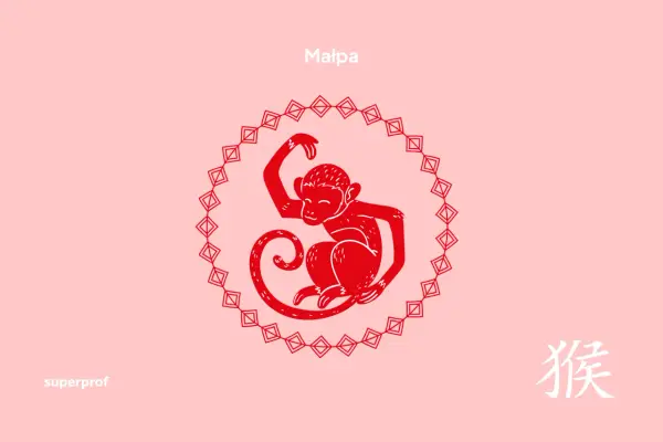 Chiński znak zodiaku 2004 - Małpa? Sprawdź, czy na pewno!