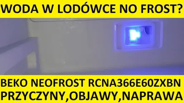 Woda w lodówce? Zdiagnozuj i napraw problem krok po kroku!