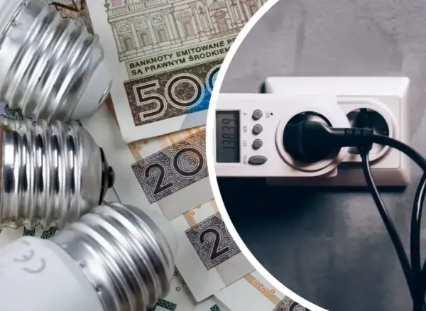 Żarówki i polskie banknoty obok licznika energii. Jakie będzie średnie zużycie prądu 2 osoby?