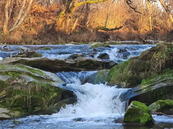 Wodospad na Olszance w Uhercach Mineralnych. Woda spływa po omszałych kamieniach, otoczona jesiennym lasem.