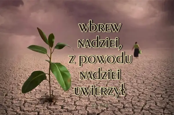 Młoda roślinka wyrasta z suchej ziemi, symbolizując nadzieję wbrew wszelkim przeciwnościom. Kobieta w oddali idzie przez pustynię, jakby wbrew logice, w tej **delulu** wierze.