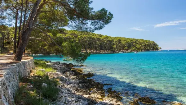 Kamienista plaża z sosnami, turkusowa woda, łodzie. Idealne miejsce na relaks i fkk camping.