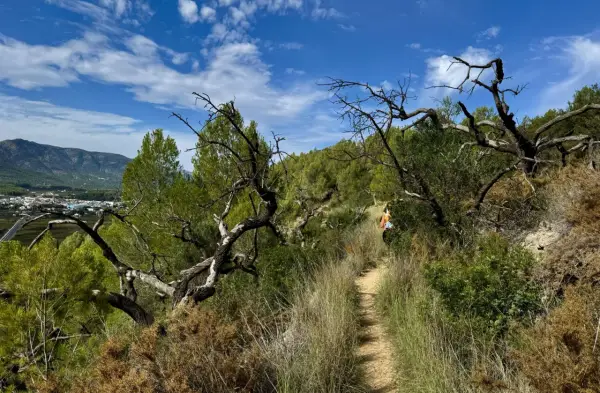 Sendero en el coll de rates, con vegetación seca y árboles retorcidos. Al fondo, un pueblo y montañas bajo un cielo azul con nubes.
