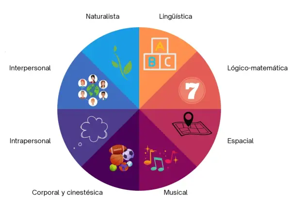 Diagrama circular ilustra las inteligencias múltiples: naturalista, lingüística, lógico-matemática, espacial, musical, corporal, intrapersonal e interpersonal.