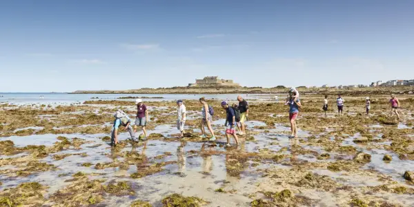 Menschen erkunden bei Ebbe die felsige Küste von Saint-Malo. Im Hintergrund thront die Festung auf ihrer Insel.