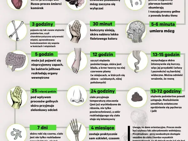 Prosektorium - jak działa badanie pośmiertne? Odpowiedzi