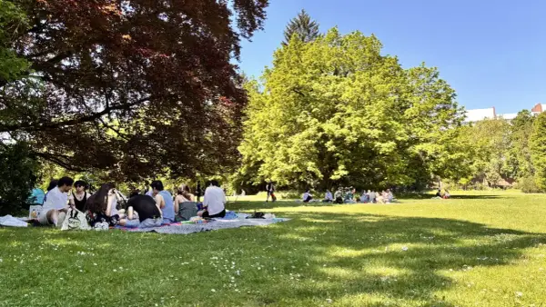 Wspólny posiłek w Kościele - jak budować wspólnotę?
