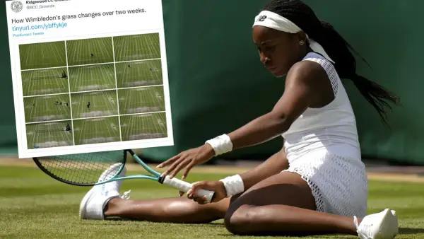 Tenisistka na trawiastych kortach Wimbledonu. Obok zdjęcie pokazujące, jak zmieniają się korty w ciągu dwóch tygodni.