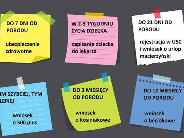 Terminy formalności po porodzie: ubezpieczenie zdrowotne (7 dni), rejestracja dziecka i wniosek o urlop macierzyński (21 dni), wniosek o 500+, becikowe i kosiniakowe.