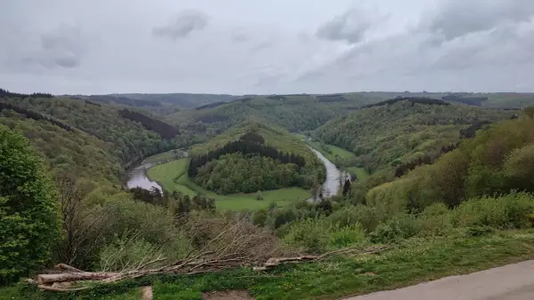 Malowniczy zakole rzeki w zielonych Ardenach, otoczone wzgórzami porośniętymi lasem.