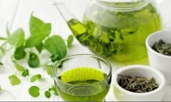 Matcha liderem? Poznaj najzdrowszą zieloną herbatę!