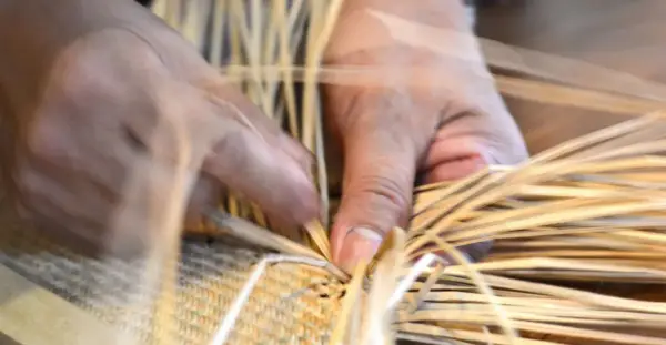 Mains habiles tressant des brins de paille, un vieil outil artisanal prend forme.