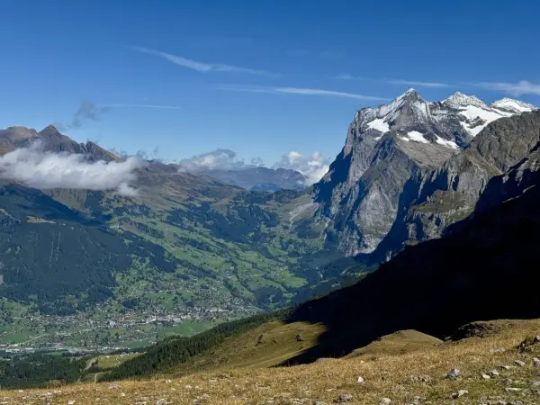Panoramic view of a valley village nestled among green hills, with dramatic, snow-capped peaks of the Swiss Alps in the background. This scene exemplifies the best hikes in Swiss Alps.