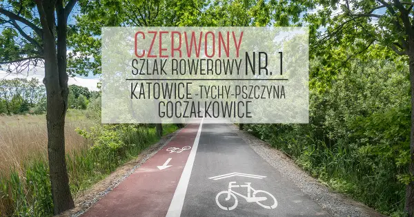 Trasa rowerowa Katowice Pszczyna – odkryj łatwą i malowniczą trasę