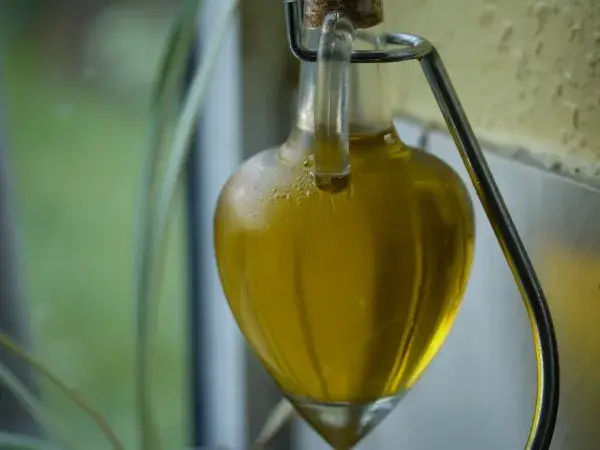 Oliwa w puszce czy butelce – co wybrać dla lepszego smaku?
