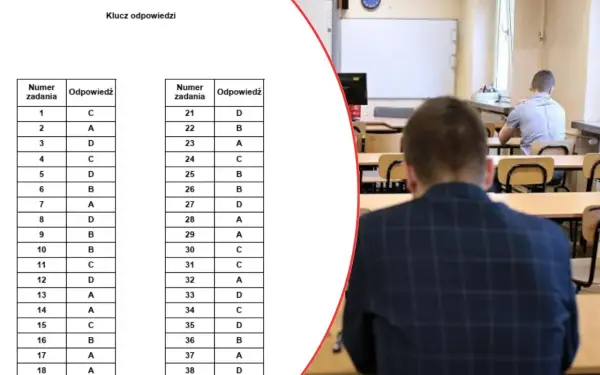 Egzamin zawodowy: Struktura, zdawalność i jak zdać?