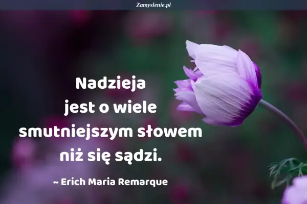 Delikatny kwiat budzi się do życia, jak nadzieja w wiosennych cytatach. "Nadzieja jest o wiele smutniejszym słowem niż się sądzi." - Erich Maria Remarque.