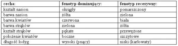 Czym jest genetyka? Proste wyjaśnienie podstaw biologii i jej znaczenie w życiu