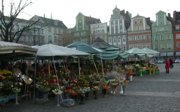 Kwiatowe stoiska na placu solnym we Wrocławiu, kolorowe kamienice w tle.