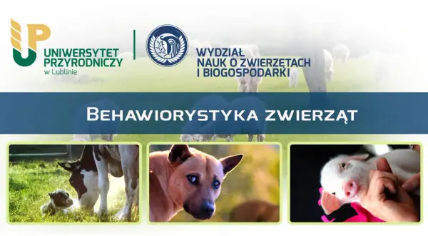 Uniwersytet Przyrodniczy w Lublinie zaprasza na studia z behawiorystyki zwierząt. Zobacz urocze cielątko, psa i prosiaczka.