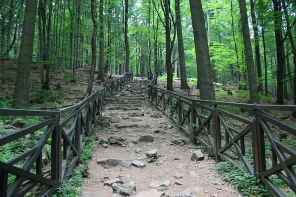 Kamienne schody wijące się przez las w Górach Świętokrzyskich, otoczone drewnianą balustradą.