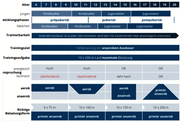 Diagramm zeigt, wie anaerobes Training altersabhängig gestaltet wird, mit Fokus auf die Verbesserung der anaeroben Ausdauer.
