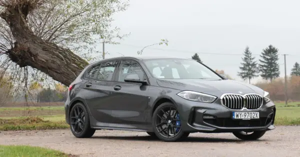 Szare BMW 118i zaparkowane przy przewróconym drzewie.