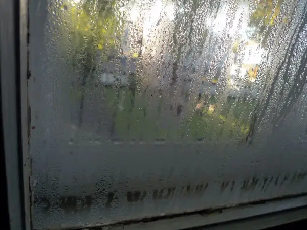 Gocce d'acqua sulla porta finestra, con riflessi di alberi e luce solare. La condensa crea un velo lattiginoso.