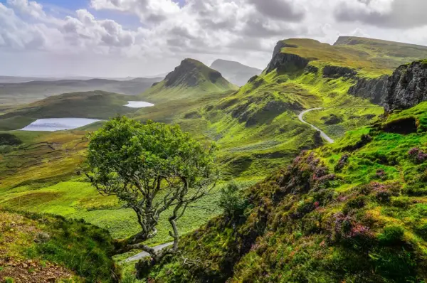Winding road through lush green hills, a solitary tree, and distant lochs showcase the beauty of hiking trails in Scotland.