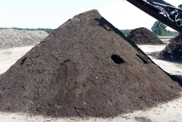 Czym jest recykling organiczny? Korzyści i etapy procesu biodegradacji odpadów