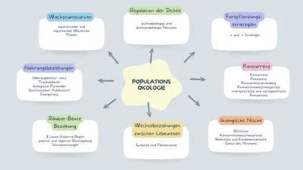 Mindmap zur Populationsökologie: Wachstum, Regulation, Fortpflanzung, Konkurrenz, Räuber-Beute-Beziehungen, Stoffkreislauf, Nischen.