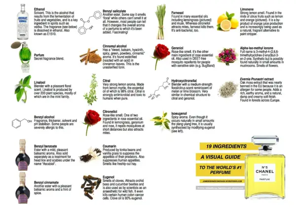 Linalool, z rodziny mięty, o przyjemnym kwiatowym zapachu, jest składnikiem wielu perfum.