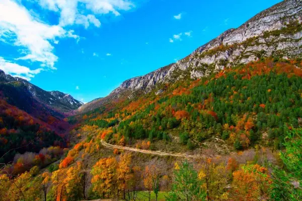 Un camino serpentea por un valle montañoso en otoño, con árboles de colores vibrantes que cubren las laderas. El cielo azul intenso y las nubes blancas completan la escena del **Cadí Moixero**.