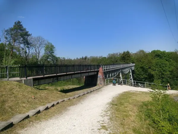 Malownicze trasy rowerowe Bydgoszcz. Most nad zielonym wąwozem, ścieżka dla rowerzystów i spacerowiczów.