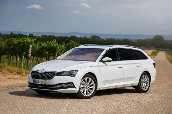 Biała Skoda Combi zaparkowana na drodze wśród winnic.