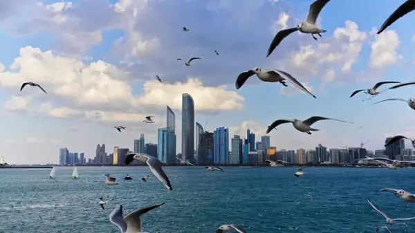 Ptaki szybujące nad wodą na tle nowoczesnej panoramy miasta, w tym drapaczy chmur. Widok na corniche Abu Dhabi.