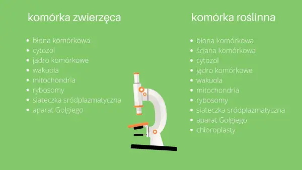 Komórka zwierzęca - Jak rozpoznać jej budowę i uniknąć błędów?