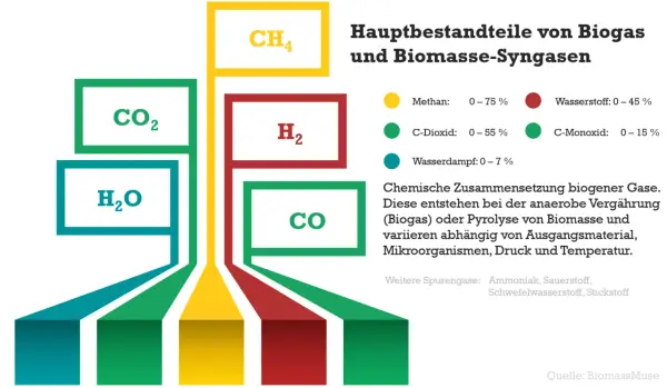 Grafik zeigt Hauptbestandteile von Biogas und Biomasse-Syngasen: CH4, CO2, H2O, H2, CO. Die biomasse produktion erklärt die chemische Zusammensetzung.
