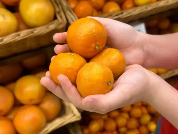 Pomarańcza - Wybierz najlepszą i używaj w kuchni!