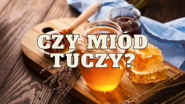 Słodki miód w słoiku i plastrze, a obok lawenda. Czy miód tuczy? Pytanie na drewnianym tle.