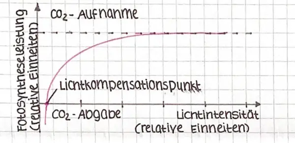 Diagramm zeigt die Abhängigkeit der Fotosynthese von außenfaktoren: CO₂-Aufnahme steigt mit Lichtintensität bis zum Sättigungspunkt.