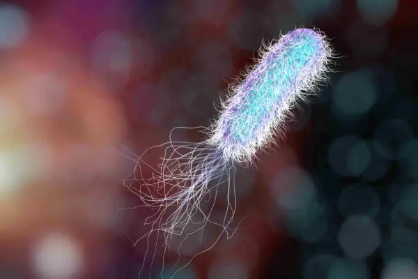 Un batterio Pseudomonas aeruginosa, con i suoi flagelli, è un nemico da eliminare per la salute.