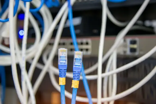 Deux câbles Ethernet bleus avec connecteurs RJ45 transparents, entourés de câbles blancs et bleus. Un choix judicieux pour votre réseau.