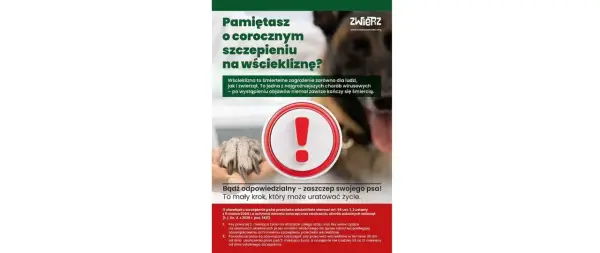 Wścieklizna - Szybka reakcja ratuje życie! Poradnik