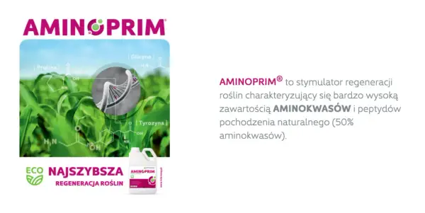 Aminoprim – stymulator regeneracji roślin z wysoką zawartością aminokwasów. Grafika przedstawia wzory chemiczne aminokwasów i DNA.